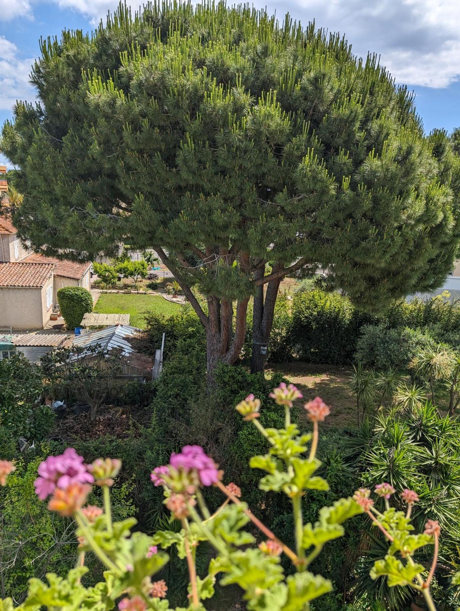 Studio Calme Dernier Etage Antibes Exterior photo